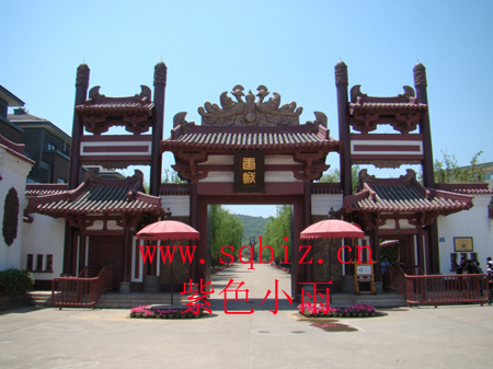 曹城——紫色小雨