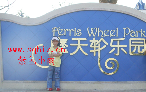 摩天轮乐园——紫色小雨