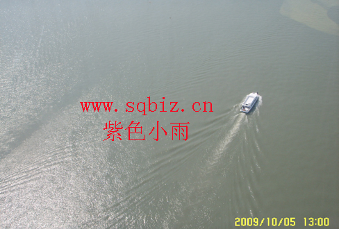金鸡湖——紫色小雨