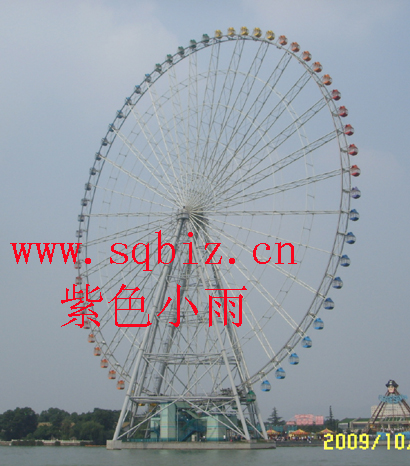 远眺摩天轮——紫色小雨