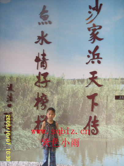 沙家浜革命展览馆——紫色小雨