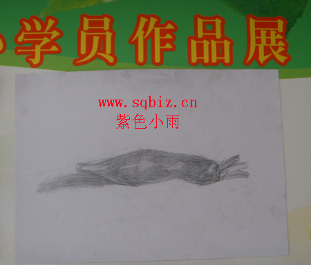 素描展示作品——紫色小雨