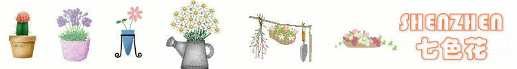 七色花——紫色小雨