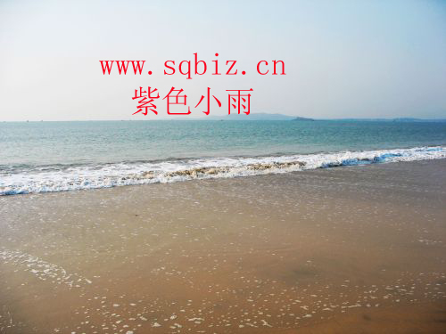 黄海之滨——紫色小雨