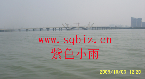 无锡跨江大桥——紫色小雨