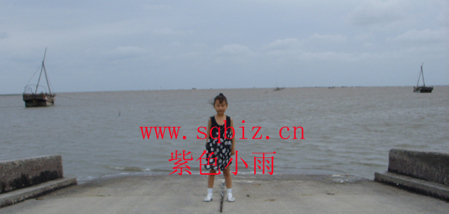 等待退潮——紫色小雨
