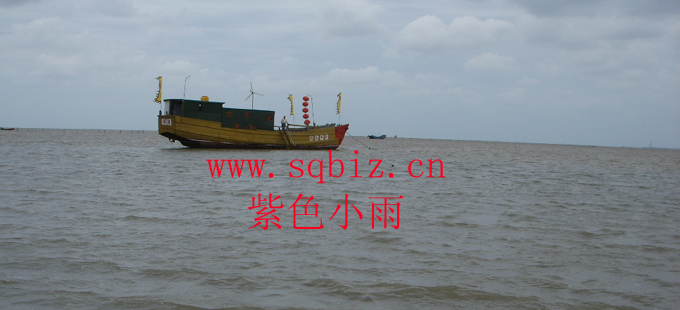 海上游船——紫色小雨