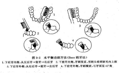 正确刷牙方法——紫色小雨