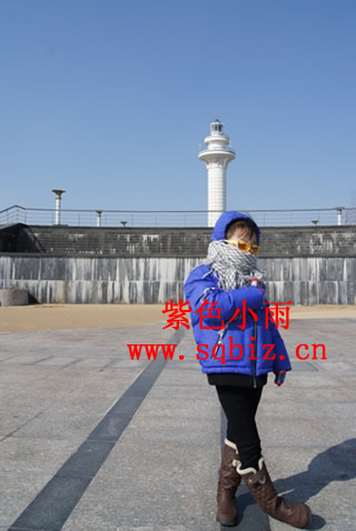 大海公园——紫色小雨