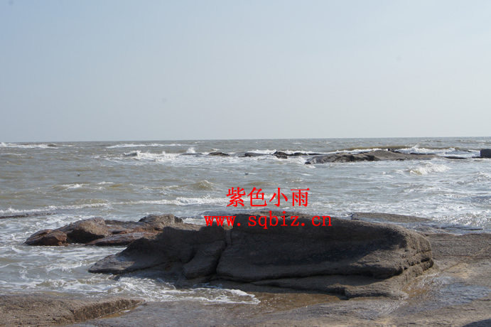 天涯海角——紫色小雨