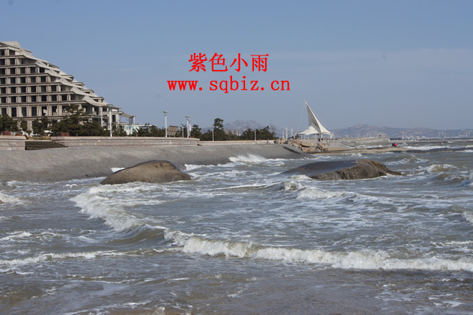 海水拍打海岸——紫色小雨