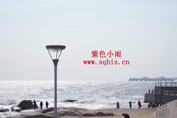 大海——紫色小雨