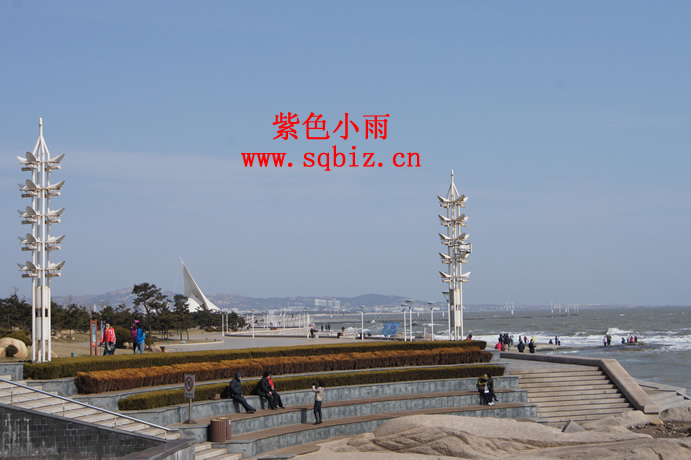 海边公园——紫色小雨