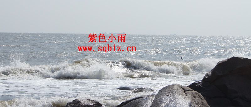 海浪、浪花——紫色小雨