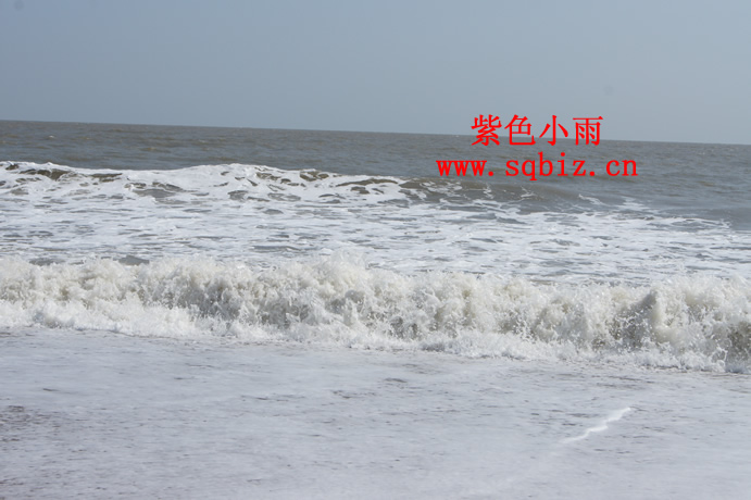 海浪、破浪汹涌——紫色小雨