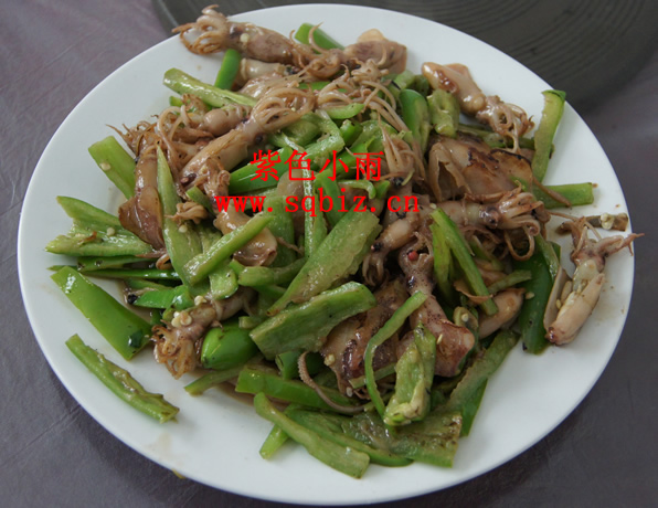 鱿鱼/辣椒——紫色小雨