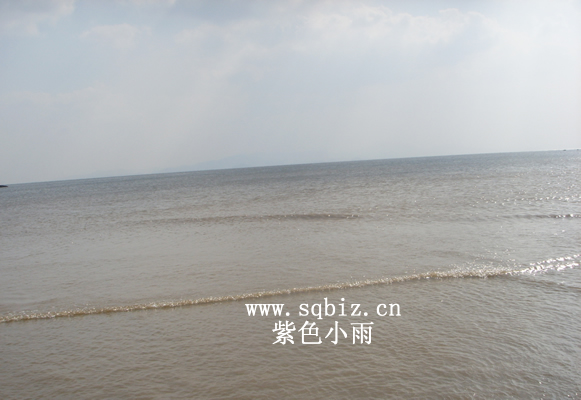 北仑大海——紫色小雨