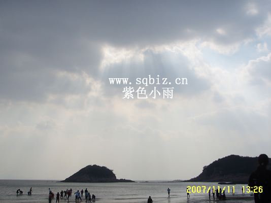 踩文蛤——紫色小雨